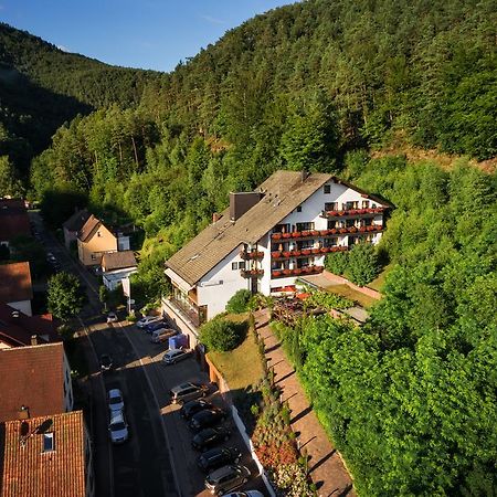 Hotel Die Kleine Blume Erfweiler Luaran gambar