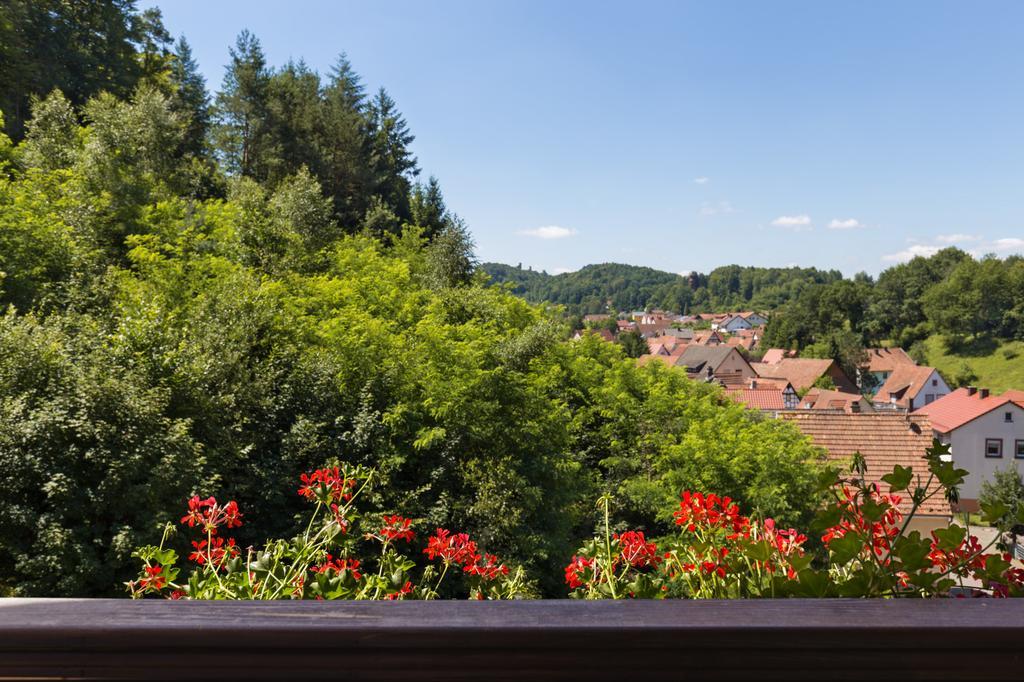 Hotel Die Kleine Blume Erfweiler Luaran gambar