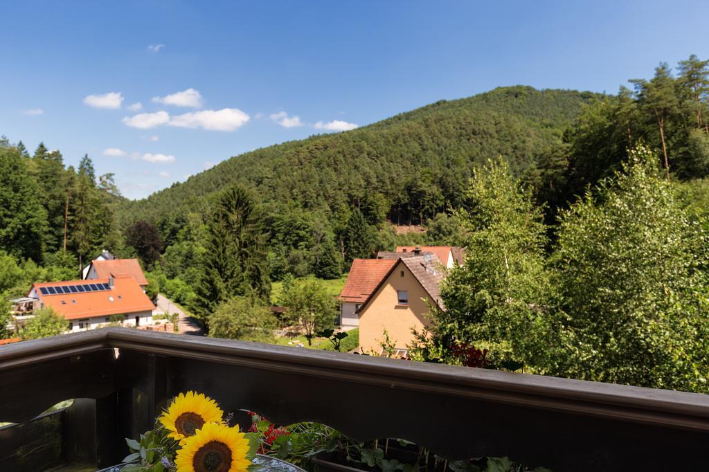 Hotel Die Kleine Blume Erfweiler Luaran gambar