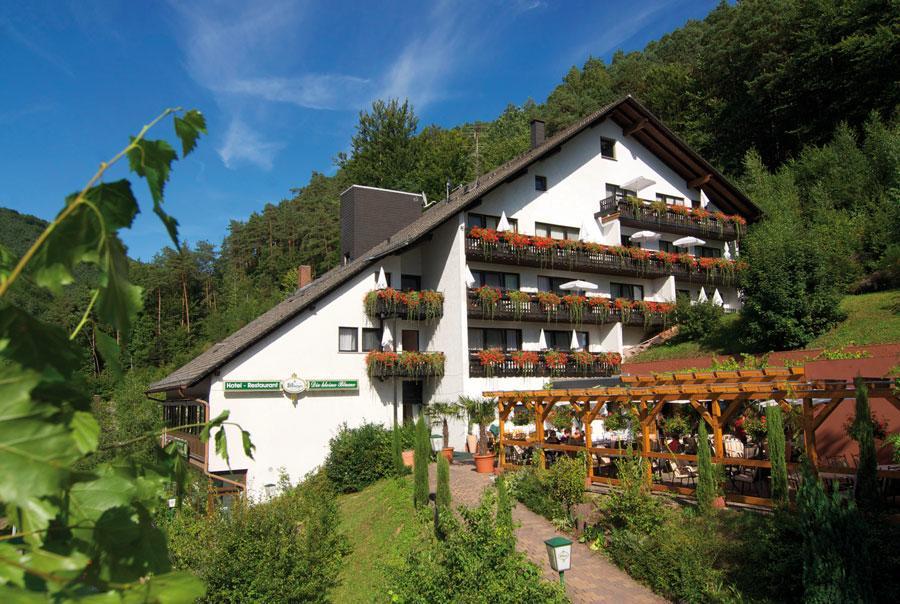 Hotel Die Kleine Blume Erfweiler Luaran gambar